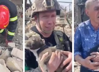 Policia ucraniana salva cãozinho dos destroços e o devolve para tutor de 77 anos