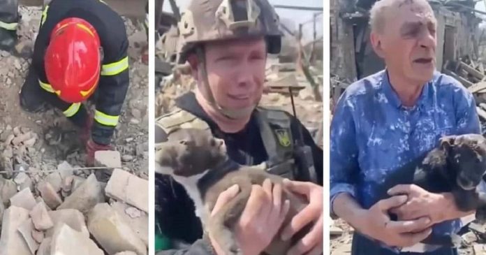 Policia ucraniana salva cãozinho dos destroços e o devolve para tutor de 77 anos