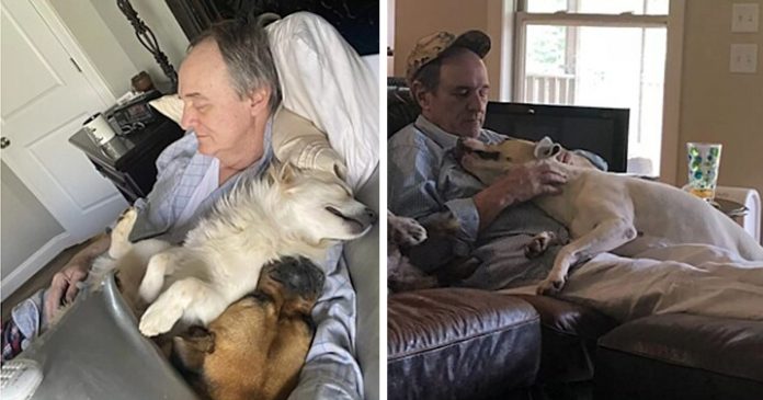 Jovem chega em casa e se surpreende com pai dormindo abraçado com cães do vizinho