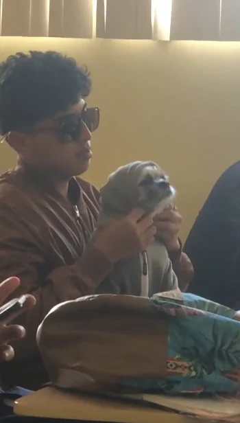 asomadetodosafetos.com - VÍDEO: Jovem leva seu cachorrinho para a aula para não deixá-lo sozinho em casa