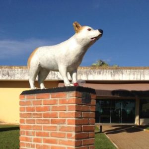 asomadetodosafetos.com - Morre cadelinha que acompanhava velórios e estátua é feita em sua homenagem