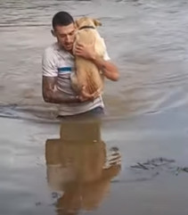 asomadetodosafetos.com - Rapaz que salvou cadelinha de enchente conta sobre o momento: ‘Ela me abraçou’