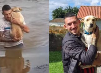 Rapaz que salvou cadelinha de enchente conta sobre o momento: ‘Ela me abraçou’