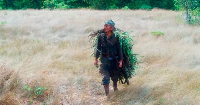 Homem que se escondeu na selva por 30 anos sem saber do fim da Segunda Guerra Mundial ganha filme