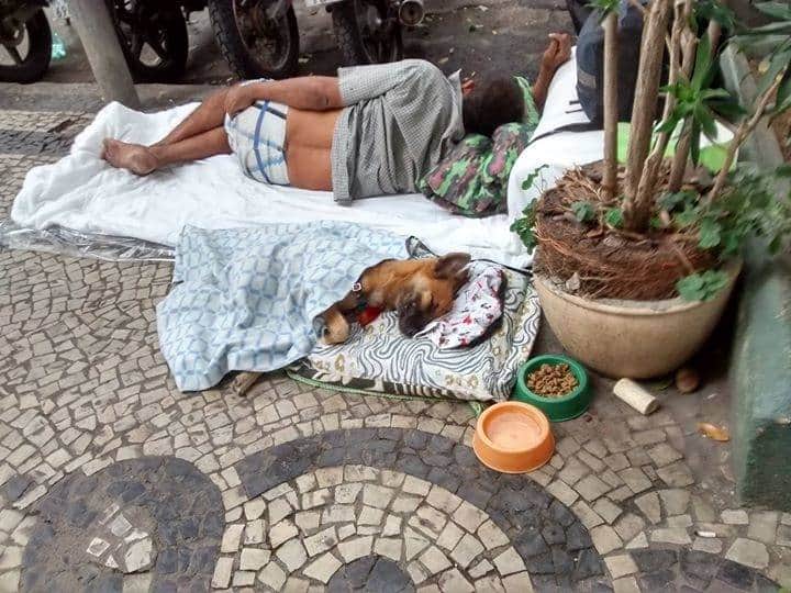 asomadetodosafetos.com - Foto de morador de rua que fez caminha para seu cachorrinho emociona a web