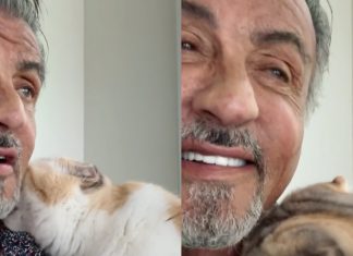 Sylvester Stallone conquista a internet com vídeo junto de sua gatinha. Assista!