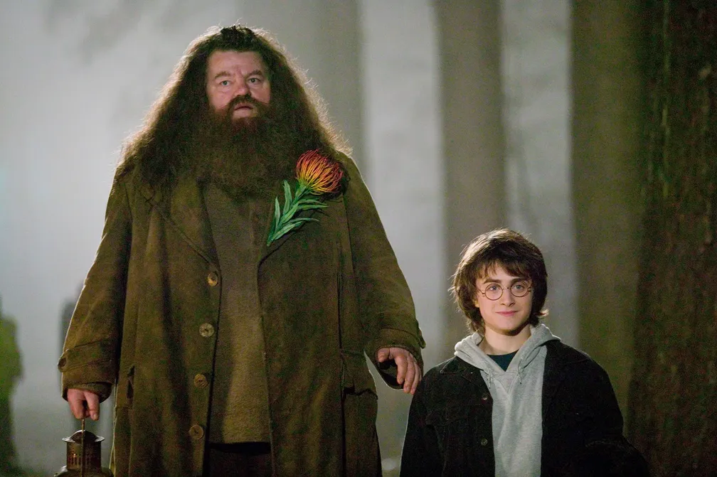 asomadetodosafetos.com - Ator de Hagrid em 'Harry Potter', Robbie Coltrane, falece aos 72 anos