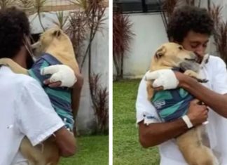 [VÍDEO]: Cachorrinha revê tutor que estava internado depois de 20 dias no estacionamento do hospital