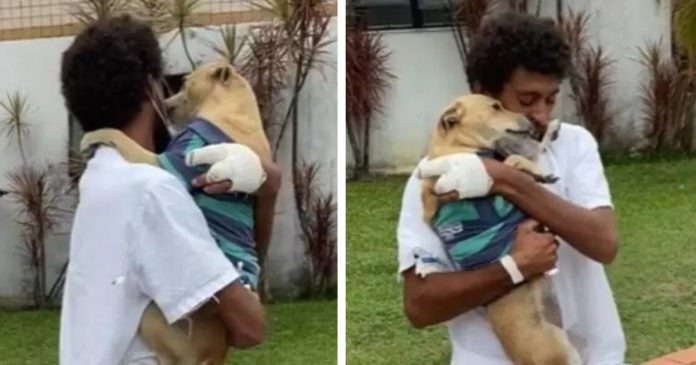 [VÍDEO]: Cachorrinha revê tutor que estava internado depois de 20 dias no estacionamento do hospital