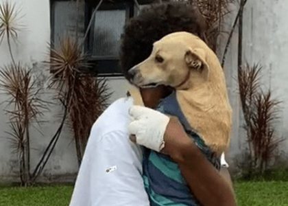 asomadetodosafetos.com - [VÍDEO]: Cachorrinha revê tutor que estava internado depois de 20 dias no estacionamento do hospital