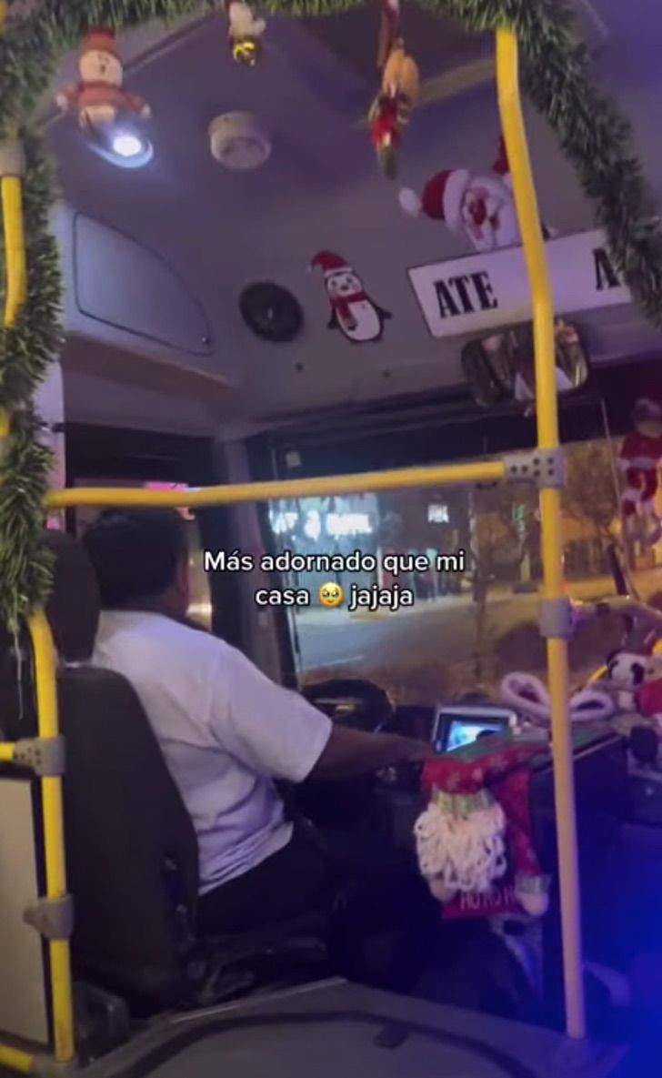 asomadetodosafetos.com - Motorista enfeita ônibus e alegra viagem de passageiros no Natal: "Mais decorado que a minha casa"