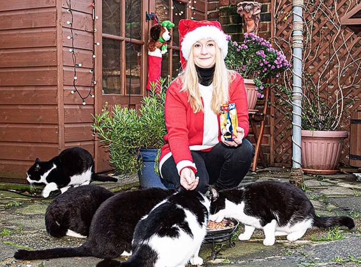 asomadetodosafetos.com - Ela adotou 21 gatos e gasta cerca de 2500 reais por mês com comida: "Parei de fumar para cuidar deles"