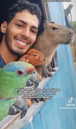 asomadetodosafetos.com - Influenciador dono da capivara Filó faz desabafo nas redes sociais: "Estou sem forças'"