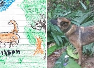 Crianças resgatadas após 40 dias na selva colombiana lembram do cachorrinho que cuidou delas: “Estão com saudades”