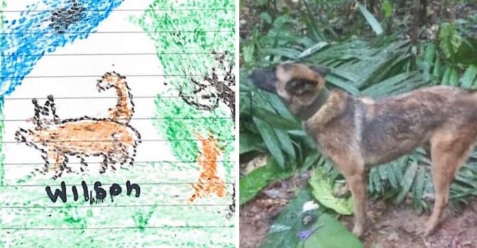 Crianças resgatadas após 40 dias na selva colombiana lembram do cachorrinho que cuidou delas: “Estão com saudades”