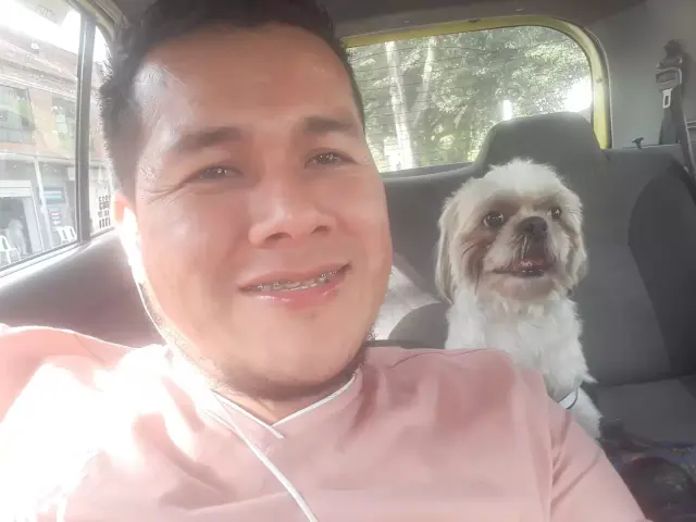asomadetodosafetos.com - Motorista encontra cãozinho abandonado junto de bilhete no banco de trás de seu táxi