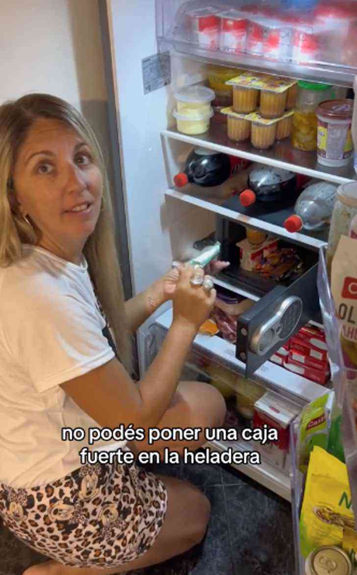 asomadetodosafetos.com - Mãe toma uma medida drástica para proteger seus chocolates: um cofre na geladeira