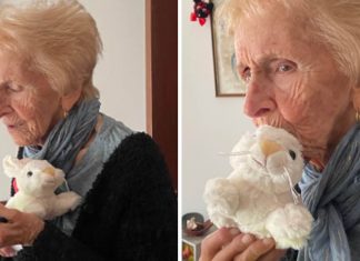 Vovó que nunca teve brinquedos ganha bichinhos de pelúcia aos 96 anos: “São meus filhos”