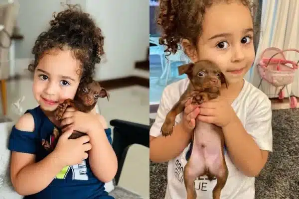 asomadetodosafetos.com - Amor puro: Menina de 4 anos encanta ao explicar 'amor de mãe' a seu cachorro