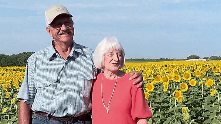 asomadetodosafetos.com - Agricultor apaixonado planta mais de um milhão de girassóis para sua esposa em seu 50º aniversário