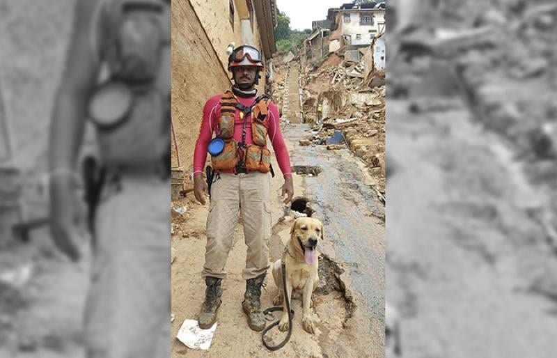 asomadetodosafetos.com - Falece Thayron, cãozinho que ajudava nas buscas por desaparecidos das enchentes no Rio Grande do Sul