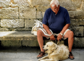 Ter um cão pode reduzir em até 40% o risco de demência em idosos