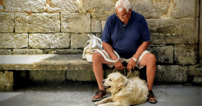 Ter um cão pode reduzir em até 40% o risco de demência em idosos