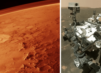 Robô da Nasa descobre possíveis sinais de fósseis em Marte