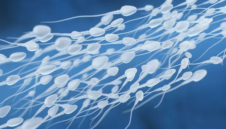 asomadetodosafetos.com - Homens iniciam testes da primeira pílula anticoncepcional sem hormônios
