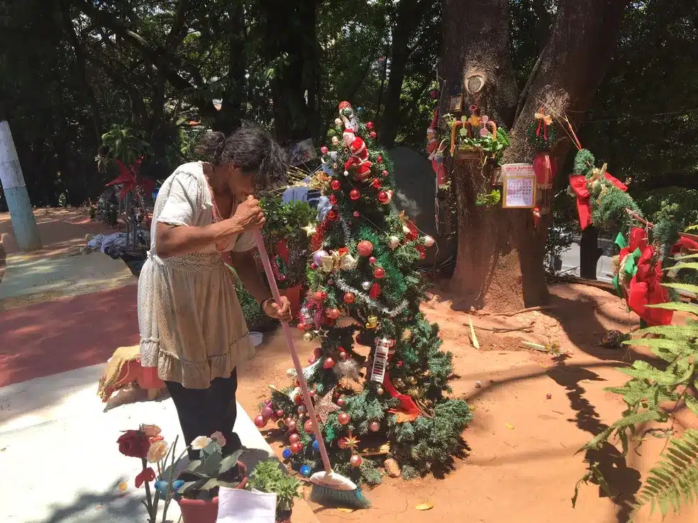 asomadetodosafetos.com - "Não é porque a gente mora na rua que vai viver apagado", diz moradora de rua que montou decoração de natal