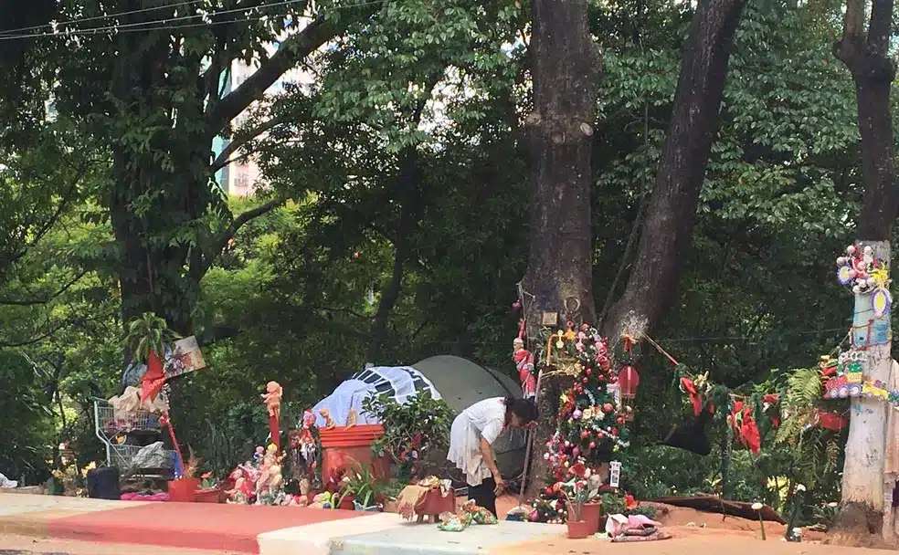 asomadetodosafetos.com - "Não é porque a gente mora na rua que vai viver apagado", diz moradora de rua que montou decoração de natal