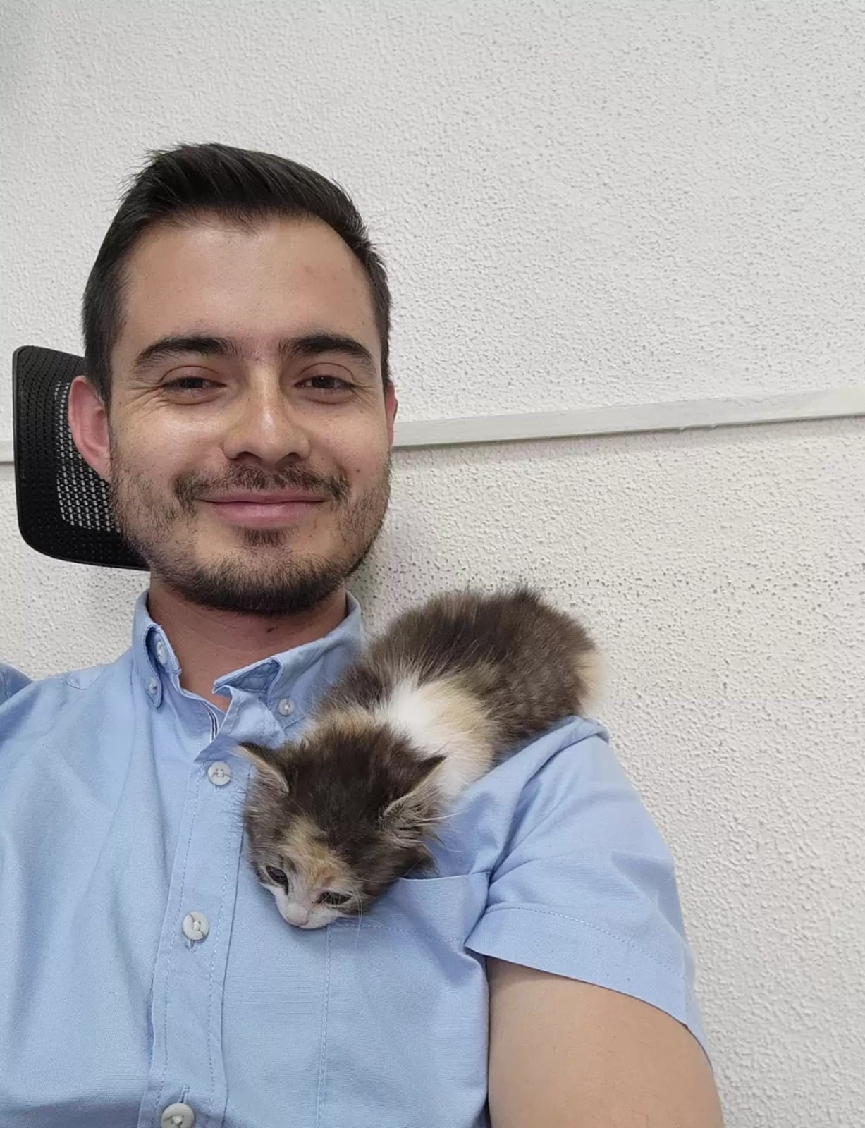 asomadetodosafetos.com - Professor cuida de filhotinho de gato para que aluna pudesse fazer um exame na faculdade
