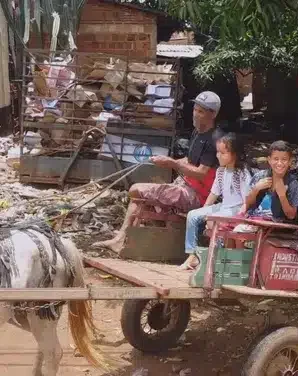 asomadetodosafetos.com - Pai percorre 3km de carroça todos os dias para levar filhos à escola: "Futuro melhor que o meu"