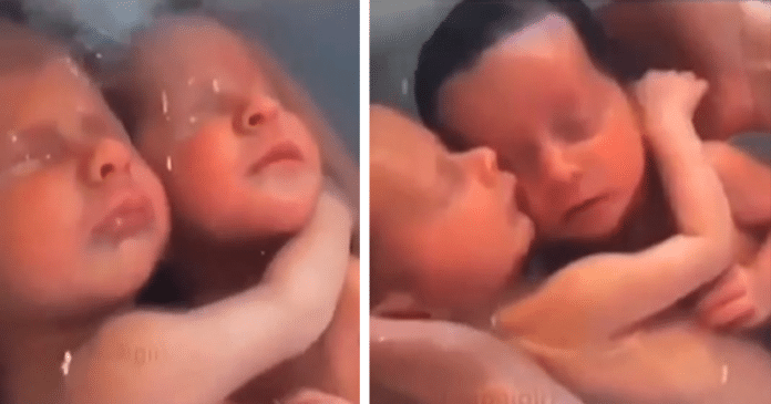 Vídeo emocionante mostra gêmeos abraçados que não percebem seu nascimento