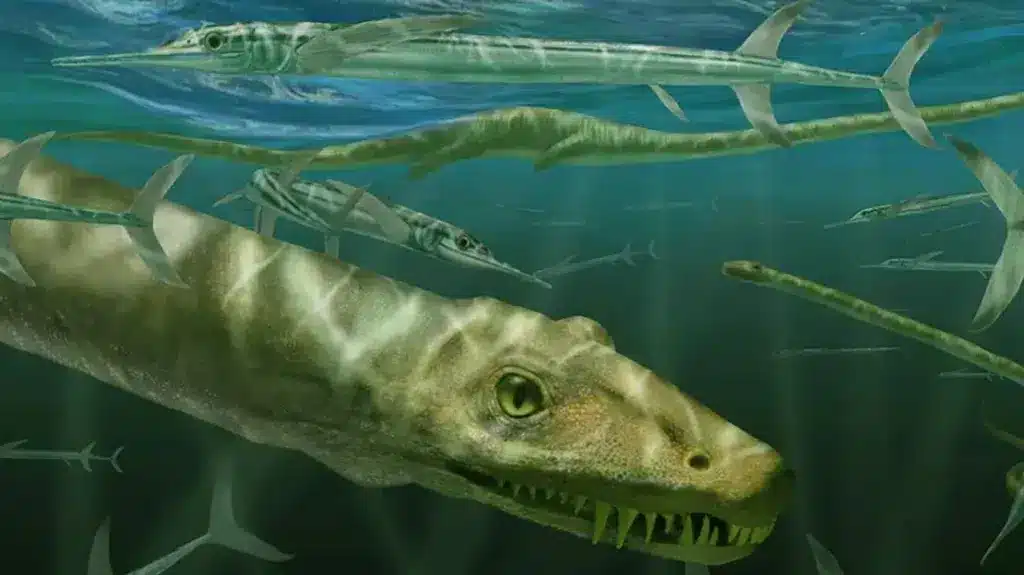 asomadetodosafetos.com - Fóssil de "dragão" chinês de 240 milhões de anos é encontrado por cientistas