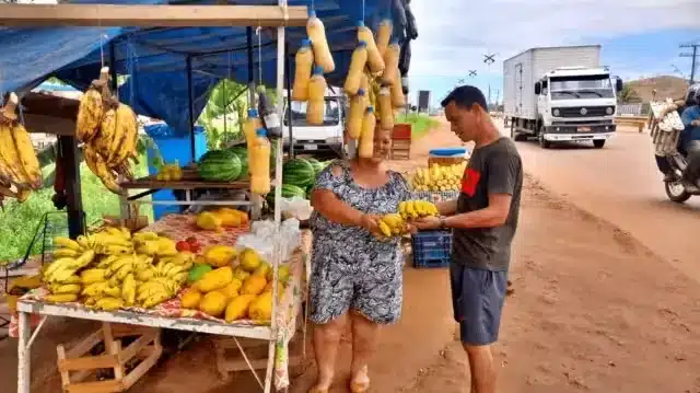 asomadetodosafetos.com - Reviravolta: Ex-vendedora de frutas termina graduação e passa em concurso público
