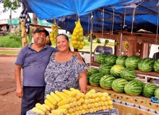Reviravolta: Ex-vendedora de frutas termina graduação e passa em concurso público